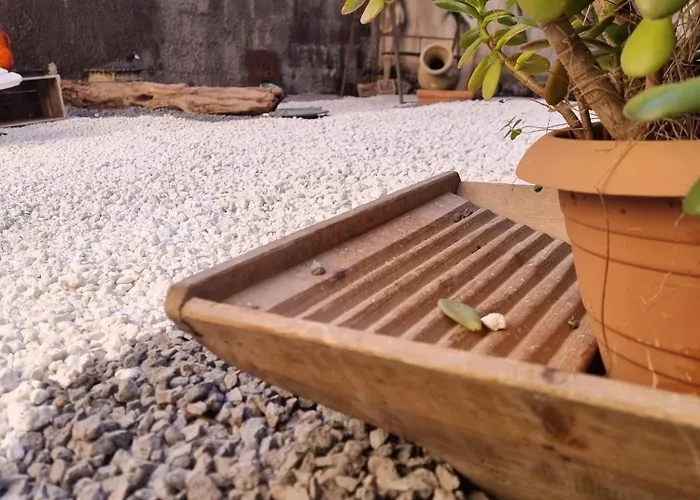 Vintageco. * Motta SantʼAnastasia